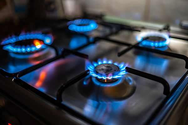 Reparacion-de-gasodomesticos